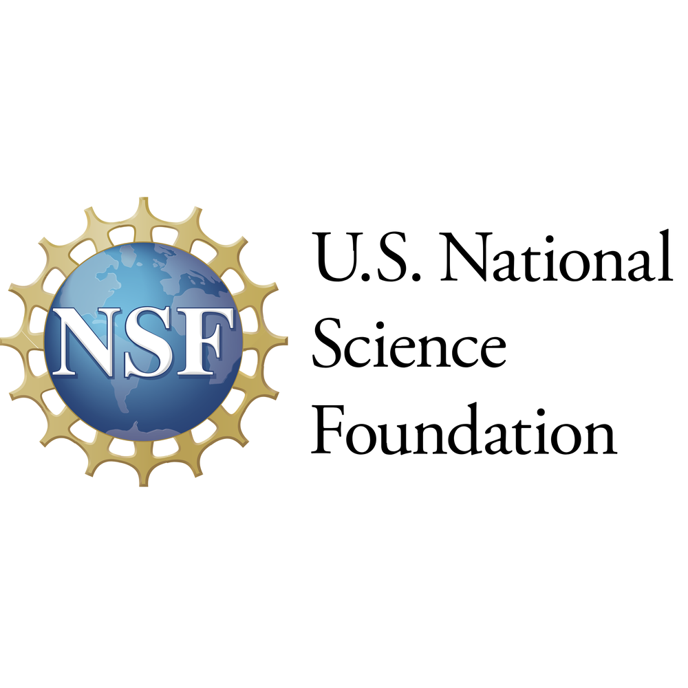 Peters Lab is Awarded National Science Foundation Grant
